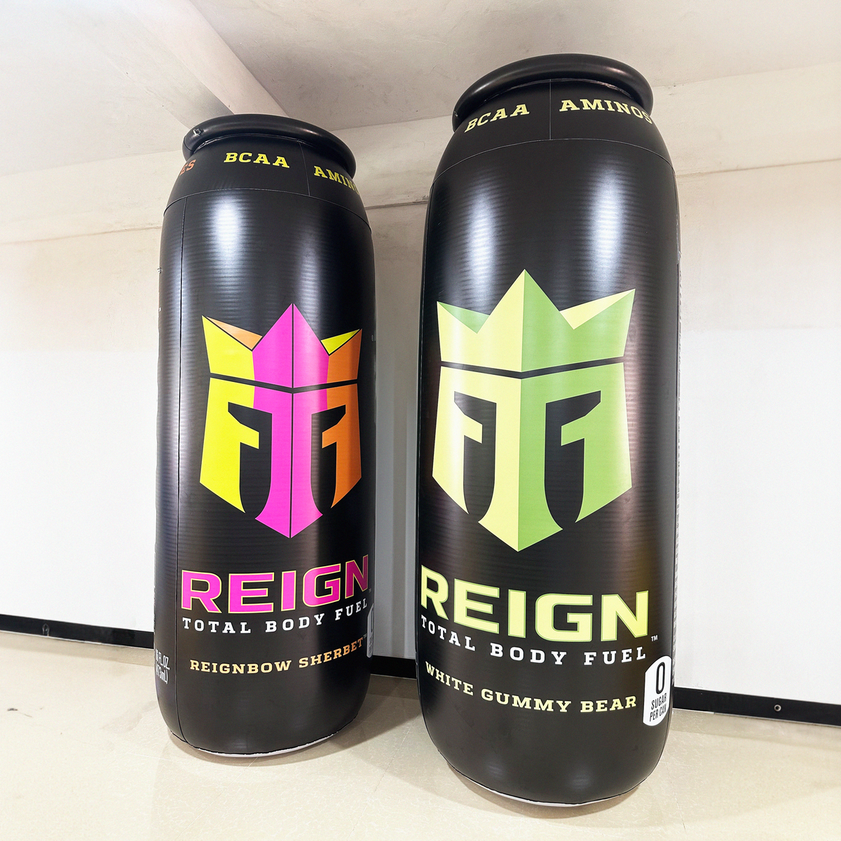 reign inflatable can