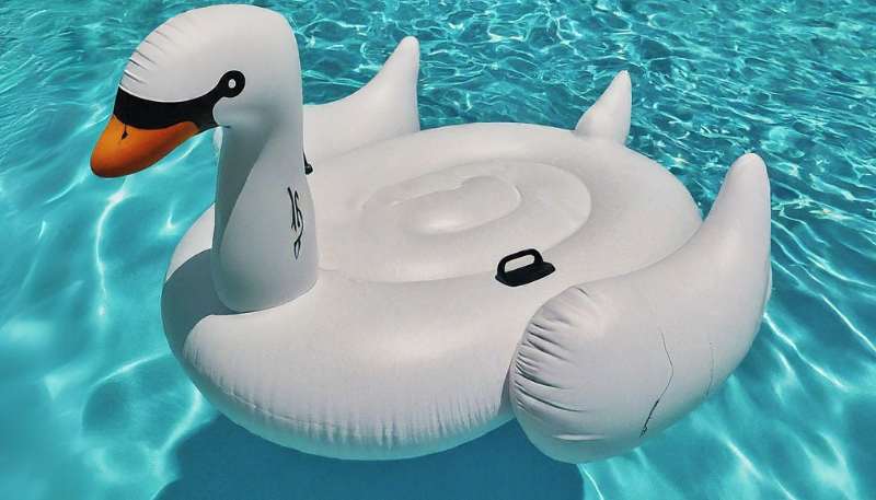 giant swan float