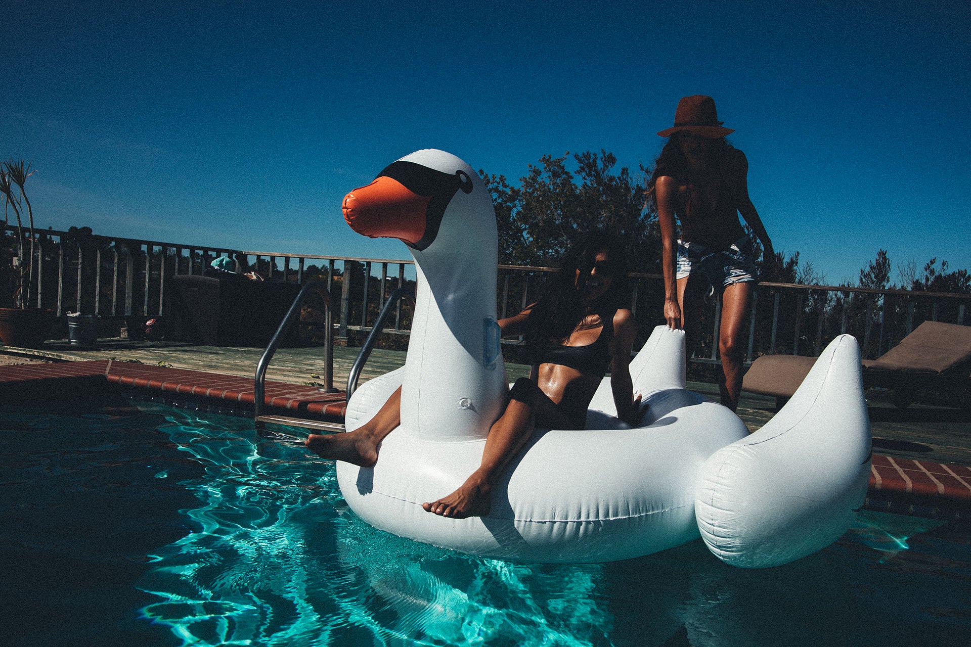 white swan inflatable pool float