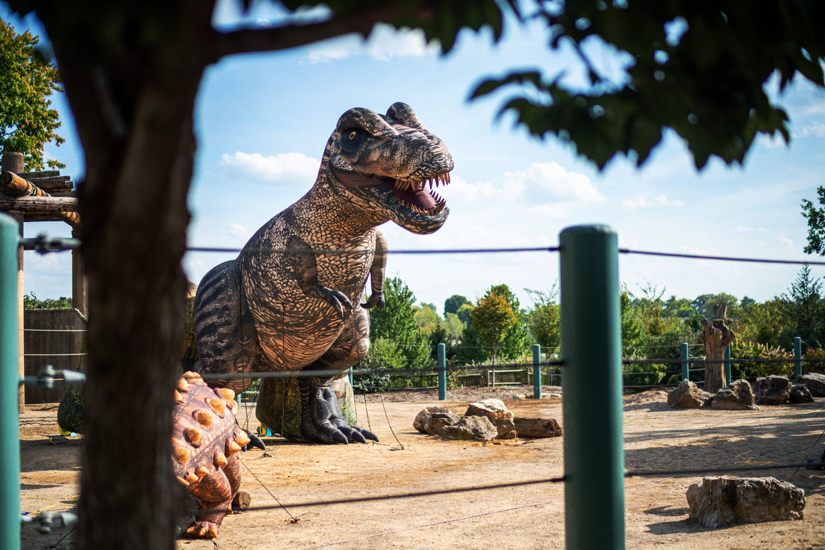 Custom inflatables for the world's biggest brands