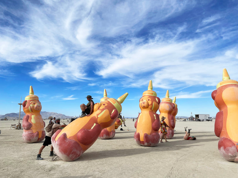Honey Bears on the playa