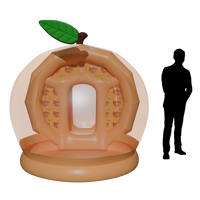 snow globe inflatable