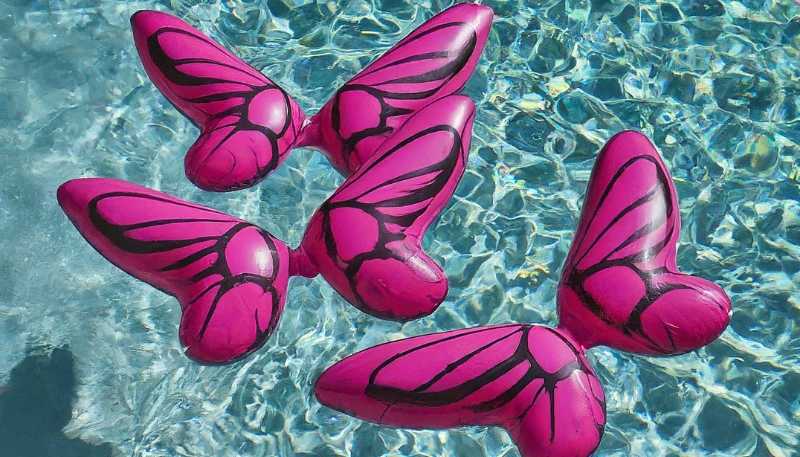 butterfly wing floats