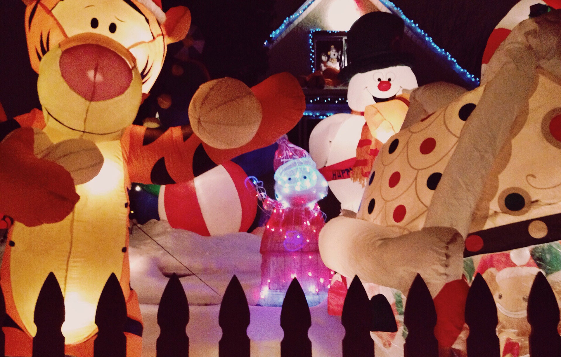 Winter Inflatables | Floatie Kings