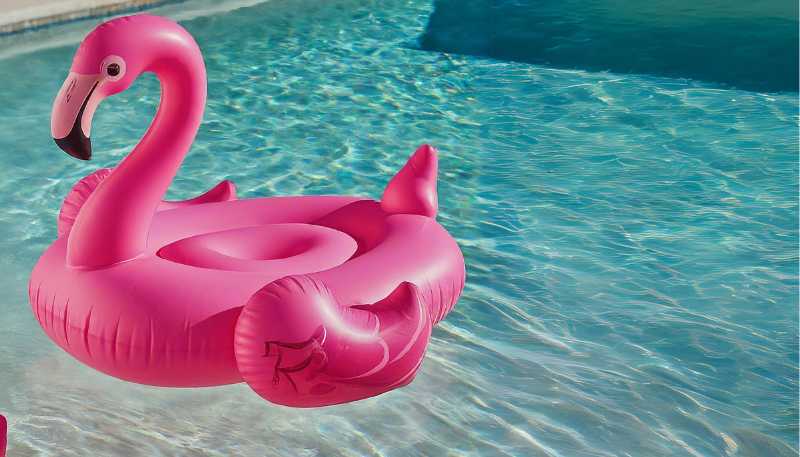 flamingo float for barbie pool party