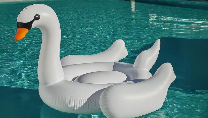 graceful swan float