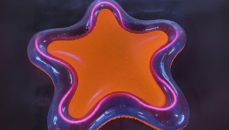 neon star float