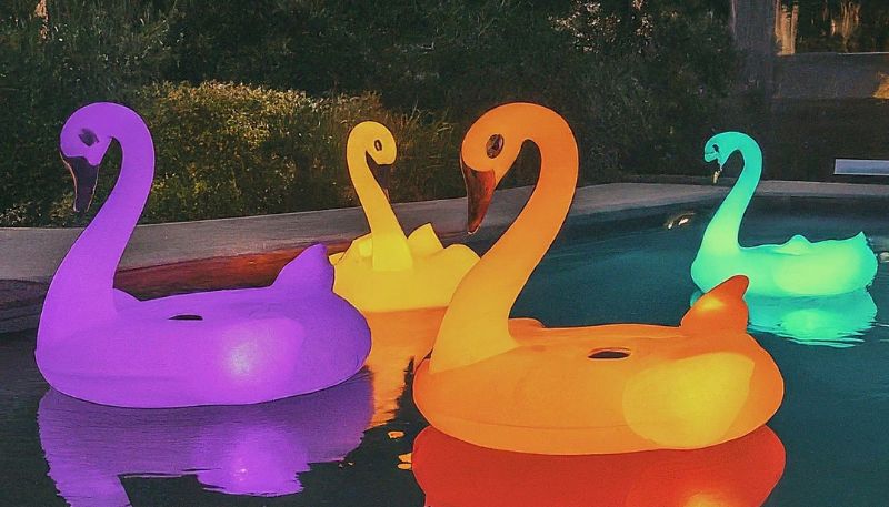 neon swan floats