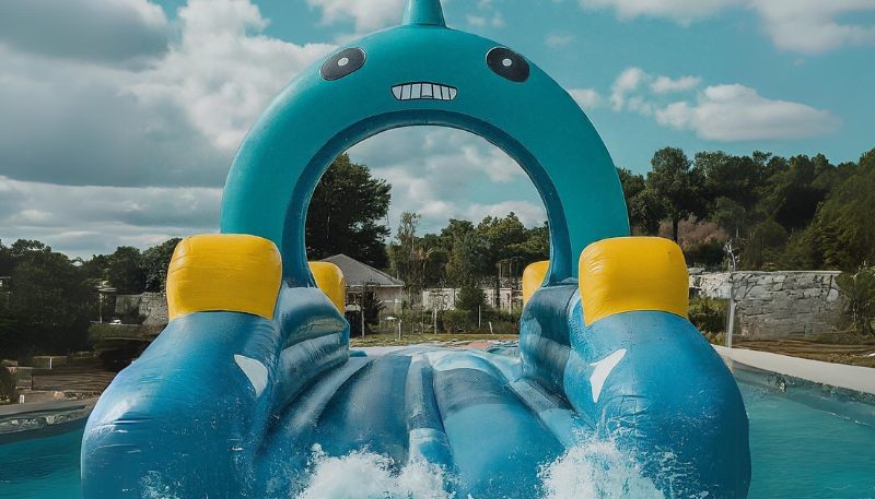 sea creature water slide