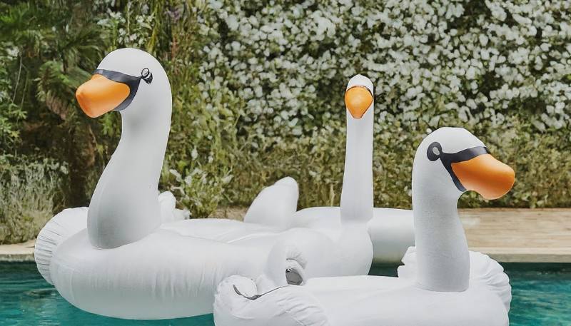 wedding swan floats