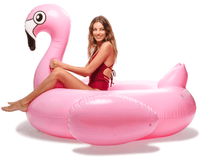 Flamingo - Floatie Kings